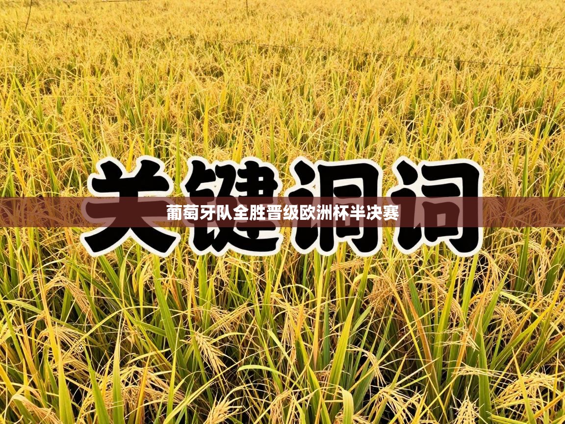 葡萄牙队全胜晋级欧洲杯半决赛